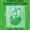 Come Spiga Accanto Alla Spiga