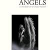 Angels. La vita segreta di un angelo nascosto