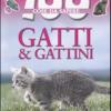 Gatti e gattini