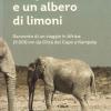 Tre Gradini E Un Albero Di Limoni. Racconto Di Un Viaggio In Africa: 19.000 Km Da Citt Del Capo A Kampala