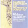 Anatomia comparata dei mammiferi domestici. Vol. 5-2