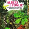 Alberi e foglie. Libro album per riconoscere gli alberi, raccogliere e conservare le foglie