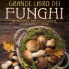 Grande Libro Dei Funghi. Una Guida Pratica E Completa Per La Raccolta, Il Riconoscimento E L'utilizzo