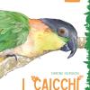 I Caicchi. Storia Naturale, Biologia E Allevamento Del Genere Pionites