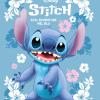 Stitch 626: Avventure Blu
