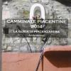 Camminate piacentine. Vol. 2