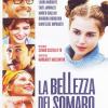 La Bellezza Del Somaro (1 Dvd)