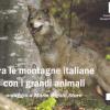 Tra le montagne italiane, con i grandi animali. Ediz. illustrata