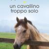 Un cavallino troppo solo. Storie di cavalli