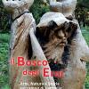 Il bosco degli eroi. Arte, natura e storia sul campo di battaglia