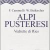 Alpi pusteresi