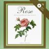 Rose. Ediz. Illustrata