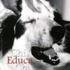 Chi educa chi. Chiavi di lettura per la comprensione e l'educazione del cane