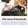 Che Razza Di Bastardo. Cani, Gatti E Maltrattamento Genetico. Un Passo Verso L'adozione Consapevole