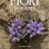 Fiori di roccia