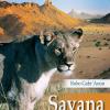 Savana. La Namibia raccontata da una guida