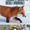 Tracce E Segni Degli Animali