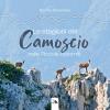 Le stagioni del camoscio nelle piccole Dolomiti