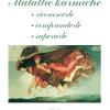 Malattie Karmiche: Riconoscerle, Comprenderle, Superarle