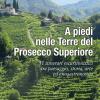 A Piedi Nelle Terre Del Prosecco Superiore. 31 Itinerari Escursionistici Tra Paesaggio, Storia, Arte Ed Enogastronomia