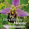 Orchidee del Monte Summano