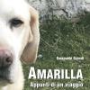 Amarilla. Appunti Di Un Viaggio A Sei Zampe