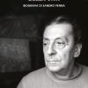 Nel Dolce Rumore Della Vita. Biografia Di Sandro Penna