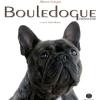 Bouledogue Francese