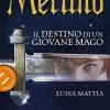 Merlino. Il Destino Di Un Giovane Mago. Vol. 1