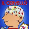 Il cervello. Con adesivi