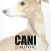 Cani D'autore