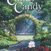 Candy Candy. Il Romanzo Completo