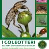 I coleotteri. Delle riserve naturali gestite dall'U.T.B. di Belluno