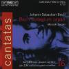 Cantatas Vol. 16 (sacd)