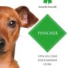 Pinscher. Ediz. illustrata