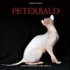 Peterbald