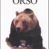 L'orso