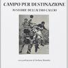 Campo per destinazione. 70 storie dell'altro calcio