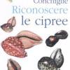 Conchiglie. Riconoscere le cipree