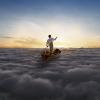 The Endless River (1 Cd Audio)