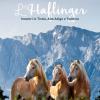 L'haflinger. Incontri In Tirolo, Alto Adige E Trentino