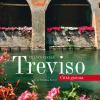 Treviso citt gioiosa