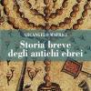 Storia Breve Degli Antichi Ebrei