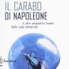 Il carabo di Napoleone e altri enigmatici insetti delle isole atlantiche