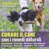 Curare Il Cane Con I Rimedi Naturali