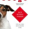 Jack Russel terrier. Vita in casa, educazione, cure