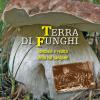 Terra di funghi. Fantasia e realt della Val Sangone