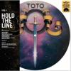 Hold The Line B/w Alone (1 Vinile)