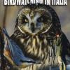 Birdwatching In Italia