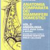 Trattato di anatomia comparata dei mammiferi domestici. Vol. 5-1